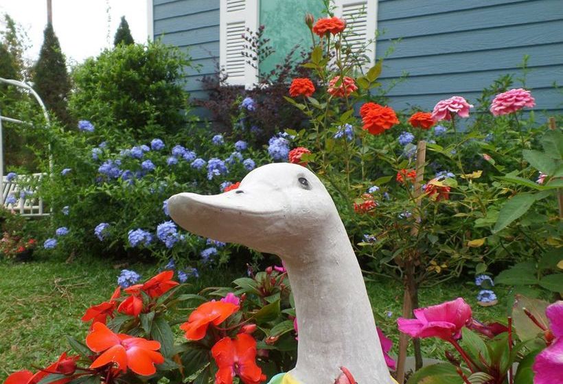 Pension Baan Jaokorkluay 18