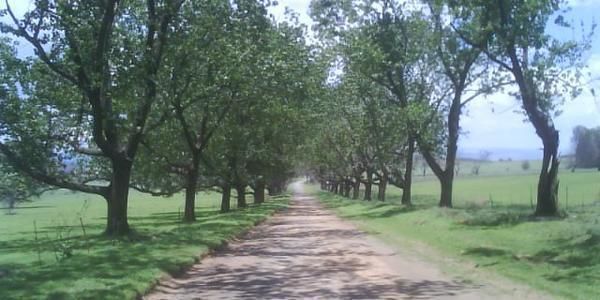 Hotel Hoyo Hoyo Machadostud Lodge 11