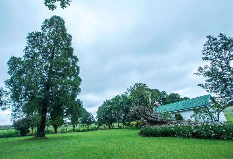 Hotel Hoyo Hoyo Machadostud Lodge 12