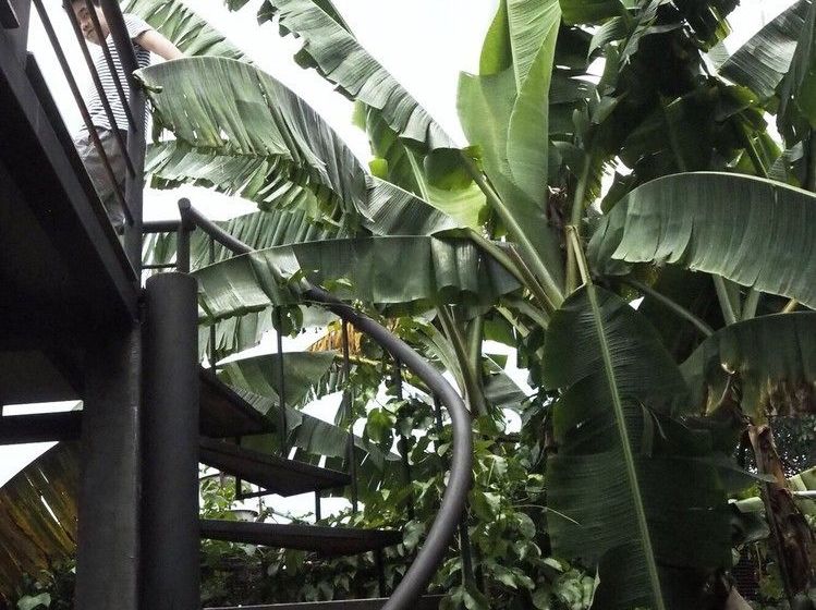 Pension Baan Rai Klai Weang Homestay 17