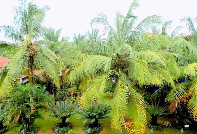 Spacious Apartment With Pool Cm008 11