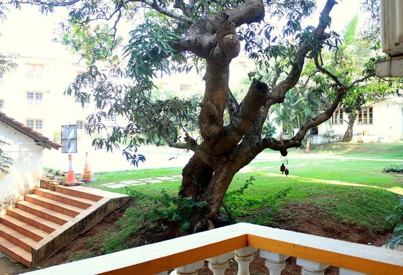 Spacious Fully Ac Apartment Cm040 18