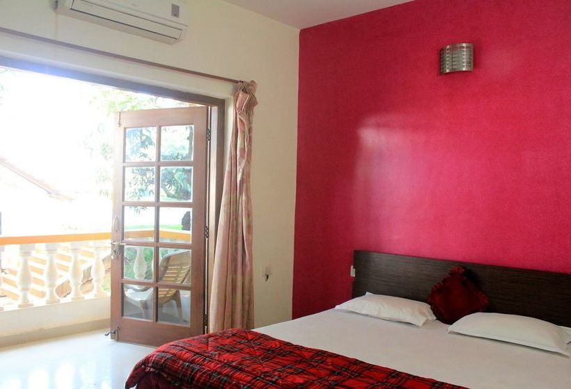 Spacious Fully Ac Apartment Cm040 19