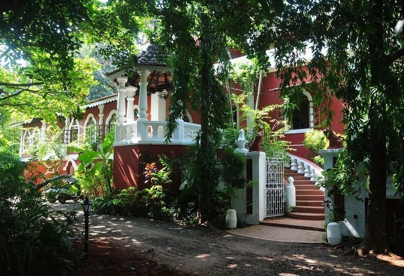 Pension Marbella Guesthouse 19