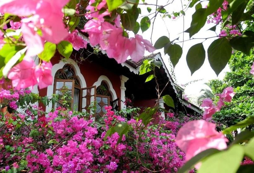 Pension Marbella Guesthouse 3