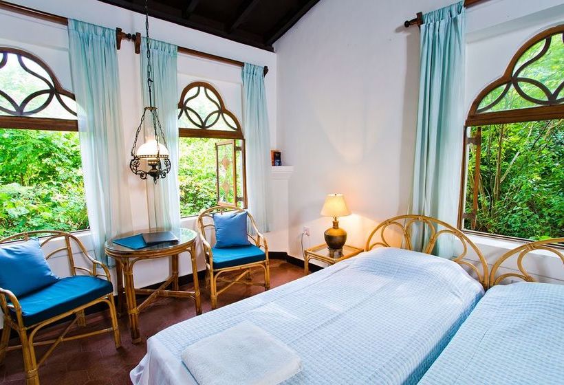 Pension Marbella Guesthouse 4