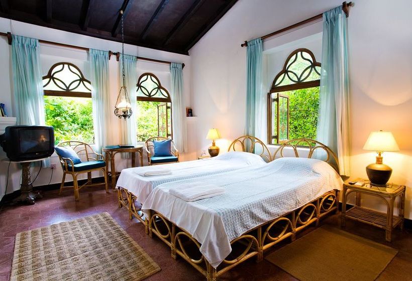 Pension Marbella Guesthouse 7