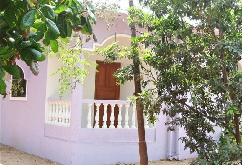 Pension Fraddie Guest House 12