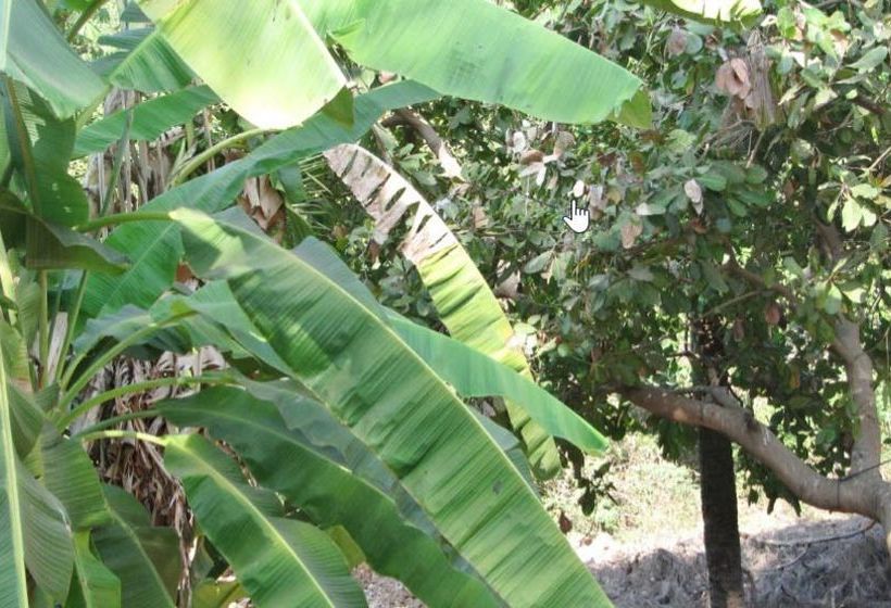 Pension Fraddie Guest House 13