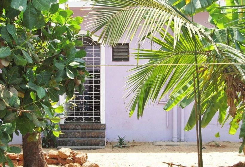 Pension Fraddie Guest House 14