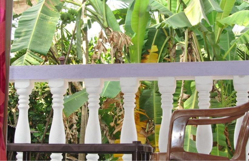 Pension Fraddie Guest House 8