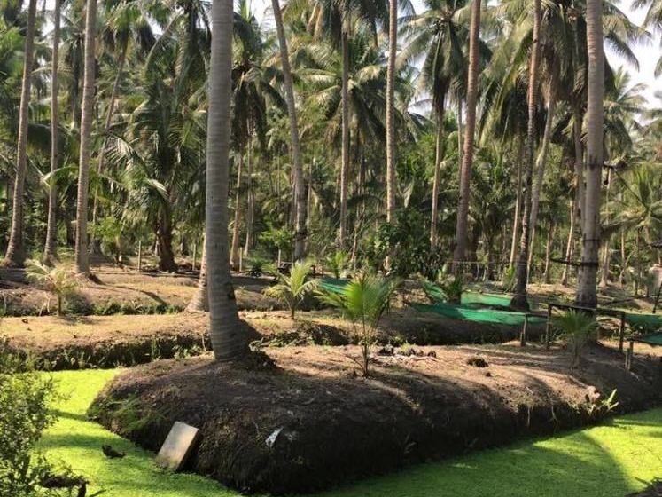 Hotel Kalacanal Resort 19