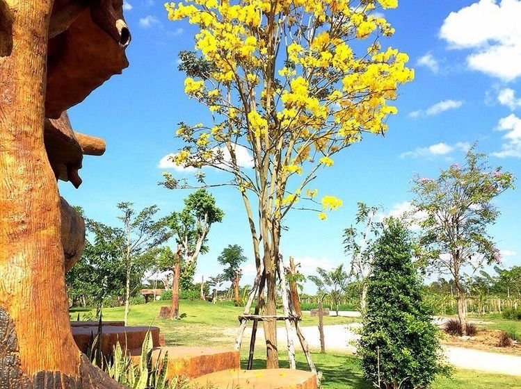 Hotel Timberland & Fruit Resort 15