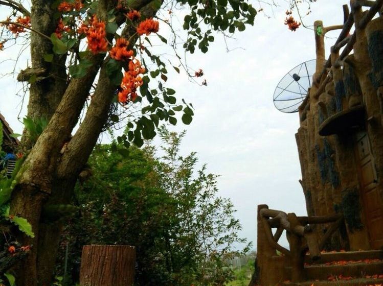 Hotel Timberland & Fruit Resort 18