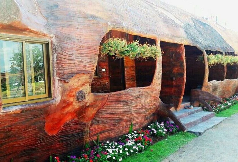 Hotel Timberland & Fruit Resort 3