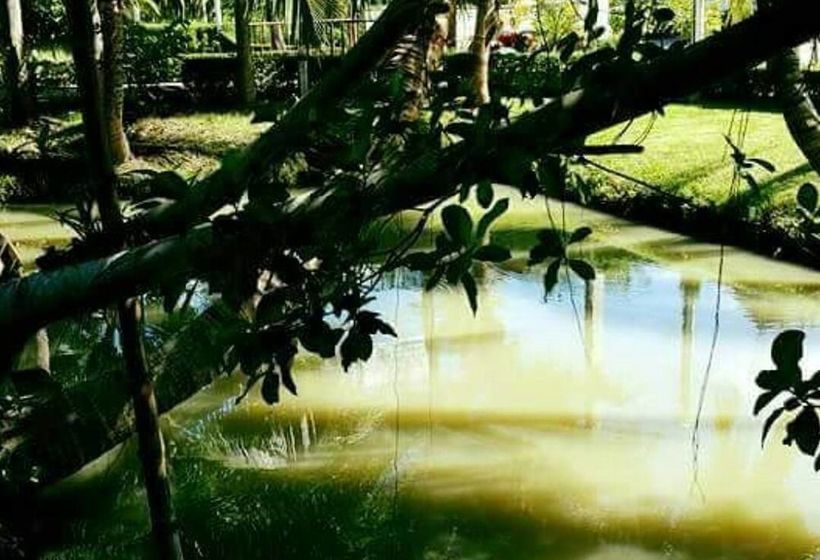 Hotel Baansuansabai Ploenpanmai Resort 13