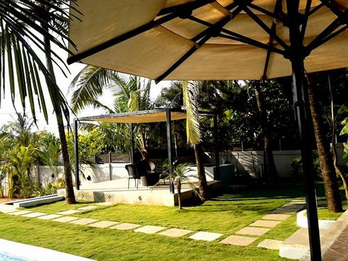 5am Somewhere Nandini 16