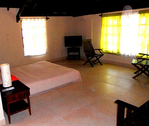 5am Somewhere Nandini 5