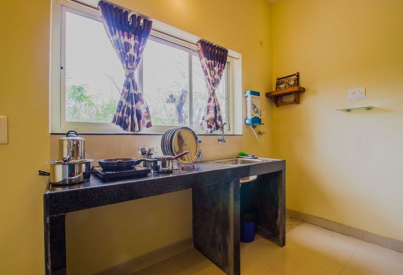 Oyo 12702 Home Spacios 2 Bhk Anjuna 11