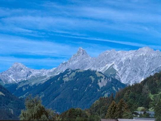 Hotel Alpenhof Messmer 1