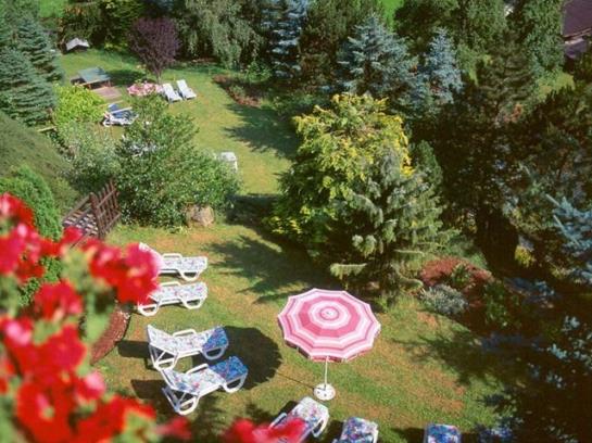 Hotel Alpenhof Messmer 3