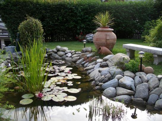 Ferienhotel Alber 13