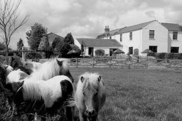 Rural Hotel Jersey Farm