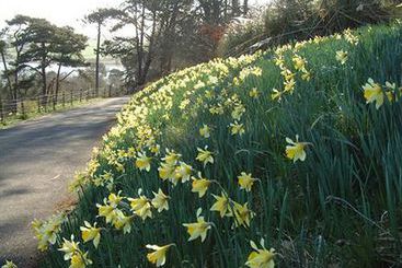 Hôtel Yeoldon House 15