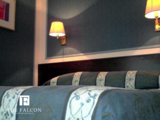 Hotel The Falcon
