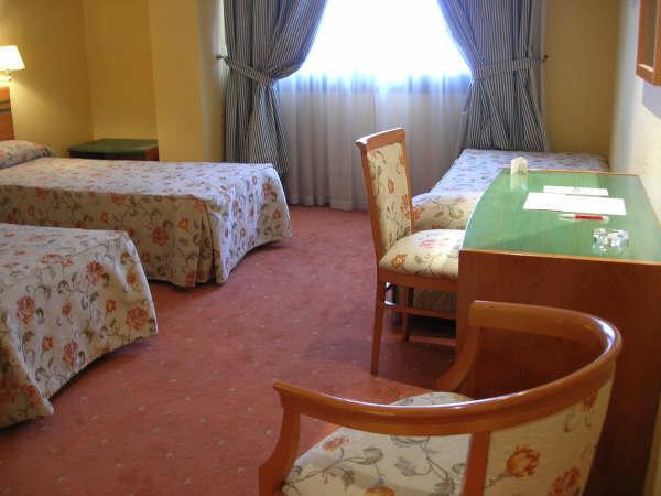 Hotel Torre Hogar  | Torrejon de Ardoz | Madrid | España 7