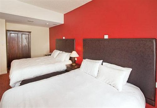 Hotel The Antelope Inn 12