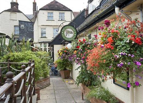 Hotel The Antelope Inn 4