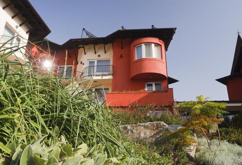 Hôtel Vadvirag Panzio