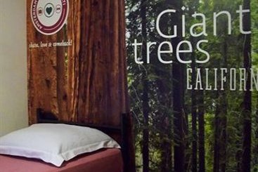 Amsterdam Hostel Sarphati 5