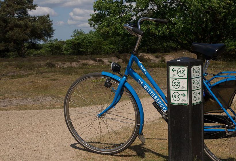 Hotel Hilversum de Witte Bergen 3