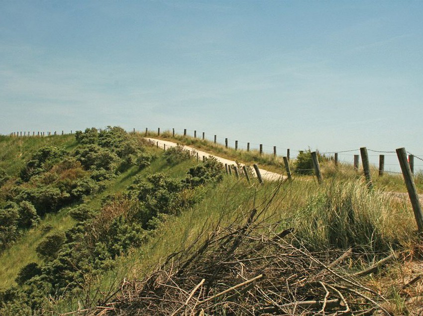 Fletcher Zuiderduin Beachhotel 14