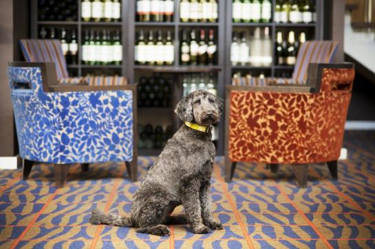 Hotel Best Western Aberavon Beach 17