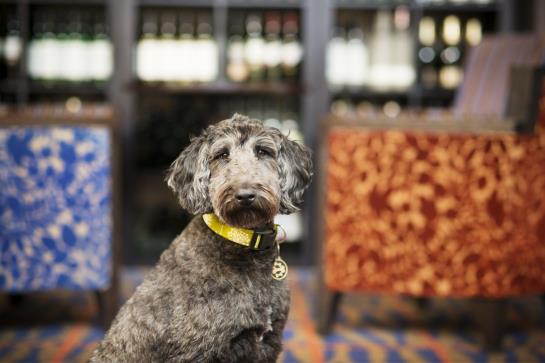 Hotel Best Western Aberavon Beach 19