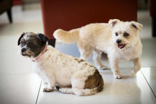 Hotel Best Western Aberavon Beach 20