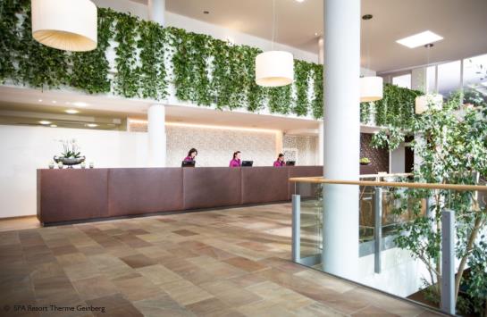 Hotel Therme Geinberg Spa Resort 2