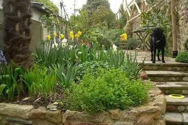 Bed and Breakfast Bed&Breakfast Cumberland House 7