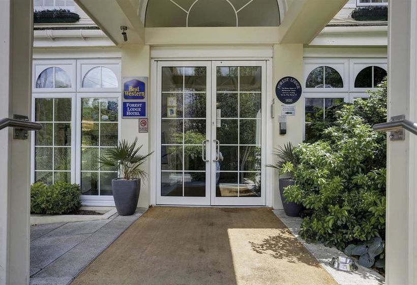 Forest Lodge Hotel 5