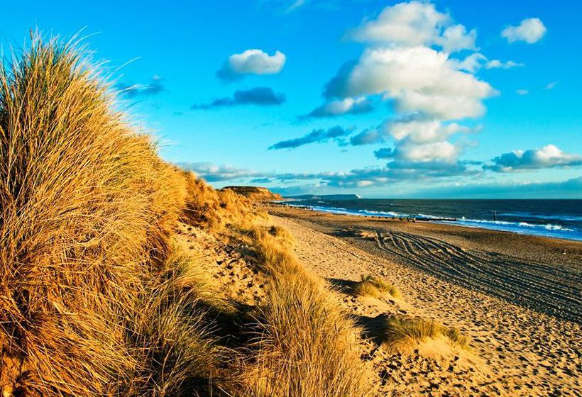 Hotel Moorhill House 11