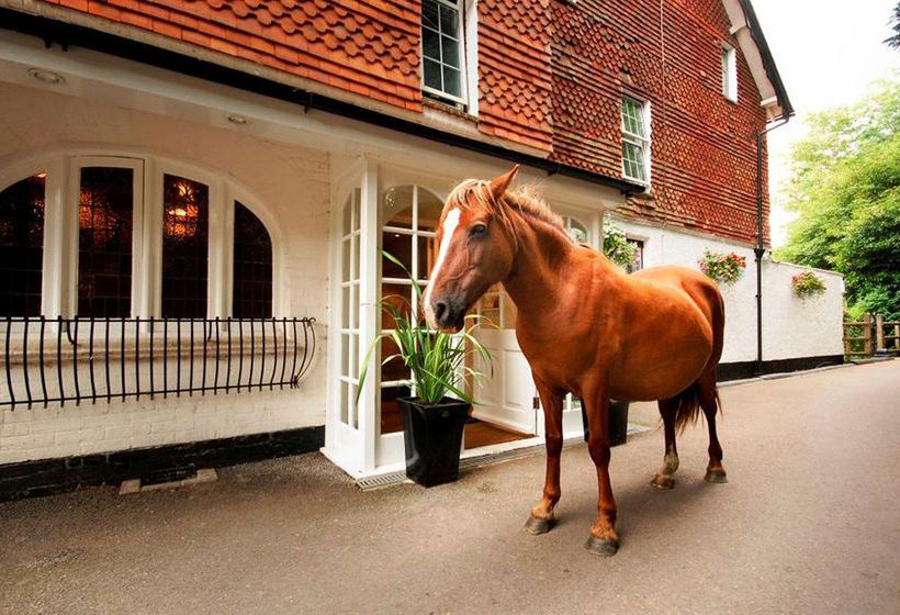 Hotel Moorhill House 4