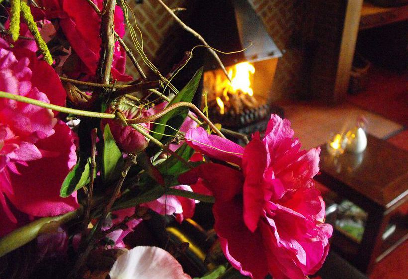 Hôtel Stad Munster 2