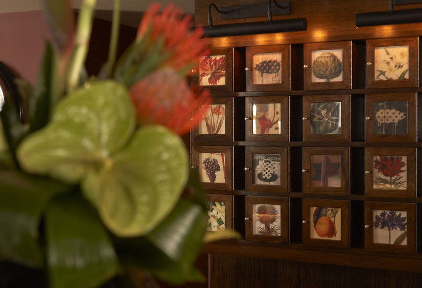 Cosmopolitan Hotel 9