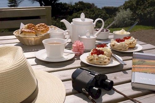 Whitsand Bay Hotel 13