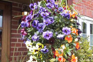 Hotel New Forest Lodge