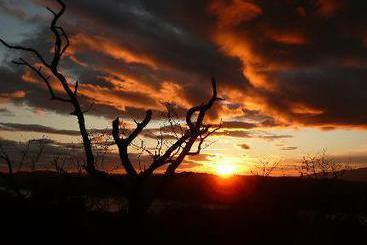 Bed and Breakfast Rosemount Guest House