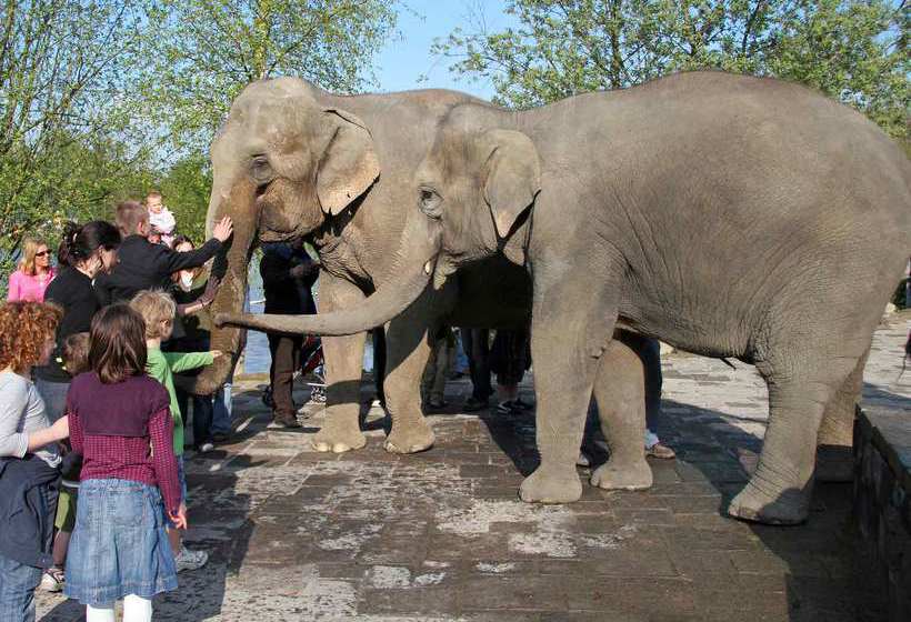Hotel Ibis Mons Centre Gare 3